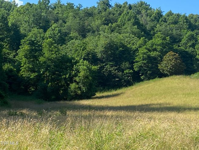 0 Rich Valley Rd, Home with 0 bedrooms, 0 bathrooms and null parking in Abingdon VA | Image 4