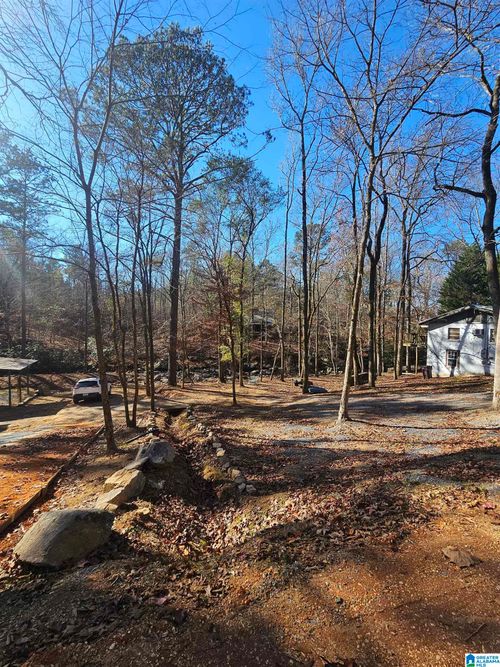 27-andamp-28-0 Pinkstoncreek Joes Fish Camp Road, Titus, AL, 36080 | Card Image