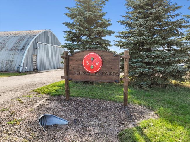 City of Waconia Hot Spot | Image 41