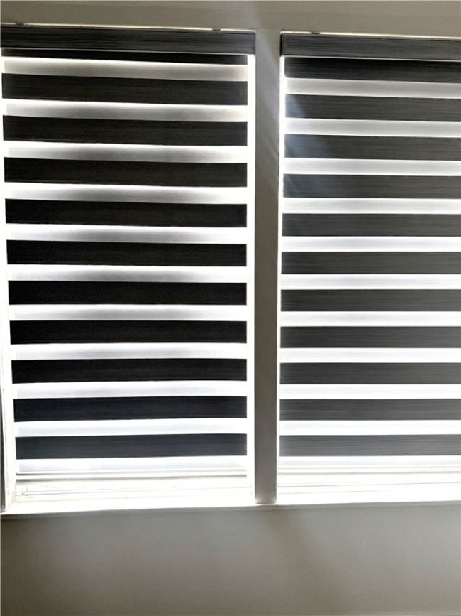 Zebra blinds | Image 19