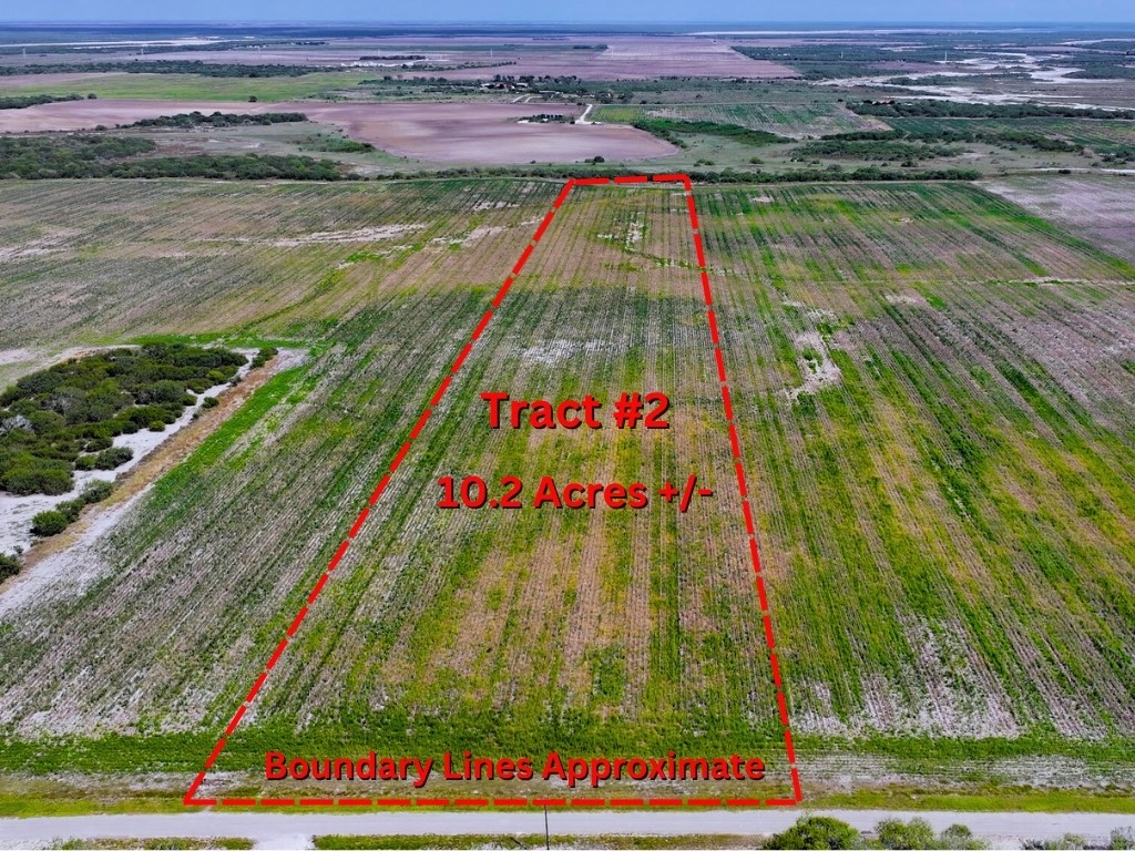 Land in Kingsville
