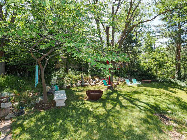 View of green lawn | Image 64