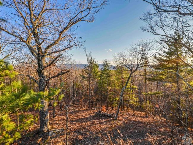 354 Merwin St, House other with 3 bedrooms, 2 bathrooms and null parking in Jewett NY | Image 68