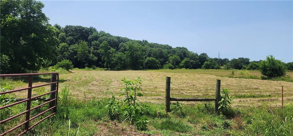 Land in Elm Springs 4