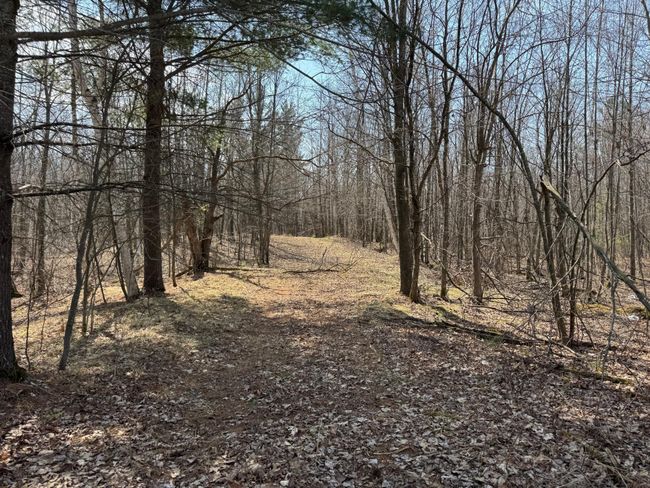 46128 Starch Rd, House other with 3 bedrooms, 1 bathrooms and null parking in Bruno MN | Image 4