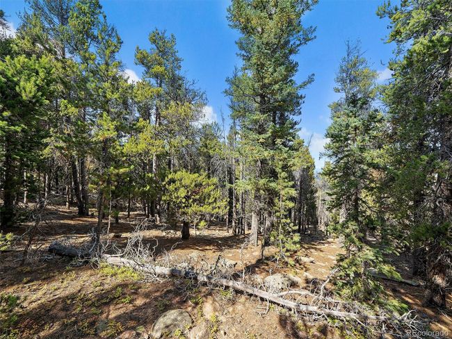 0 Edward Dr, Home with 0 bedrooms, 0 bathrooms and null parking in Conifer CO | Image 9