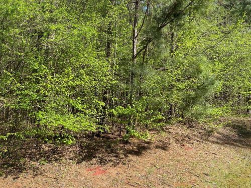 Lot C25 Peach Orchard Rd, Ivey, GA, 31031 | Card Image