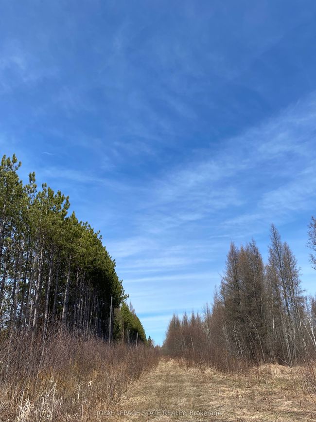 12253 On 17 (Trans Canada) Highway, Home with 0 bedrooms, 0 bathrooms and null parking in West Nipissing ON | Image 4