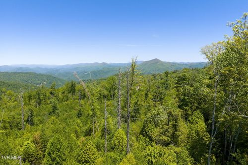 tbd-Tbd Walnut Mountain Road, Roan Mountain, TN, 37687 | Card Image