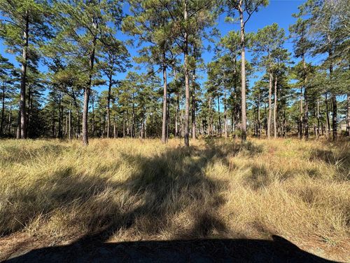 065 Private Road 6026, Brookeland, TX, 75931 | Card Image