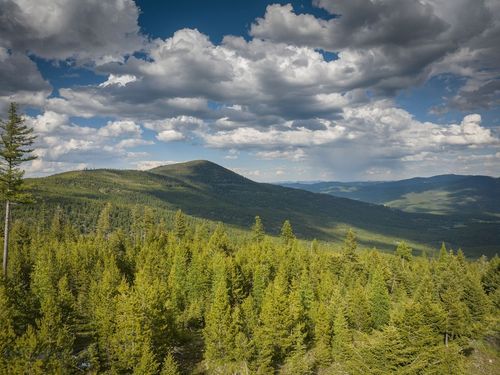 NHN Haskill Mountain Rd, Kila, MT, 59920 | Card Image