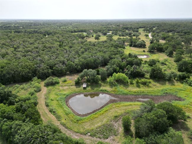Aerial view of a nearby body of water and a heavily wooded area | Image 5