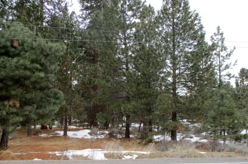 3525 Cayuse Cir, Chiloquin, OR, 97624-5832 | Card Image