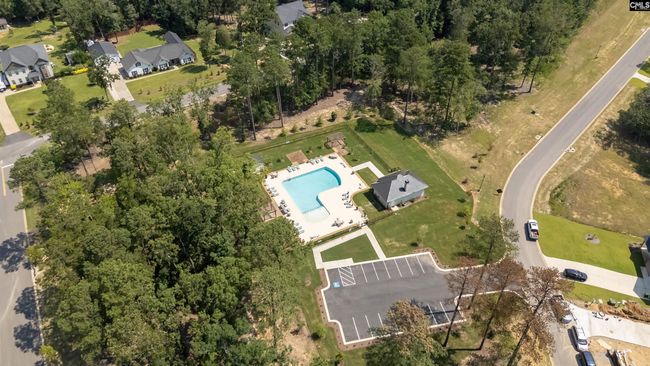 812 Elms Spinney Ln, Home with 0 bedrooms, 0 bathrooms and null parking in Chapin SC | Image 31