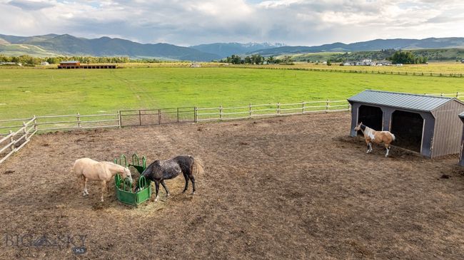 3 of 10 Double Paddocks | Image 24