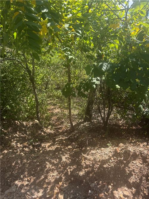 TBD (Lot 25) W Cardinal Ln, Lead Hill, AR, 72644 | Card Image