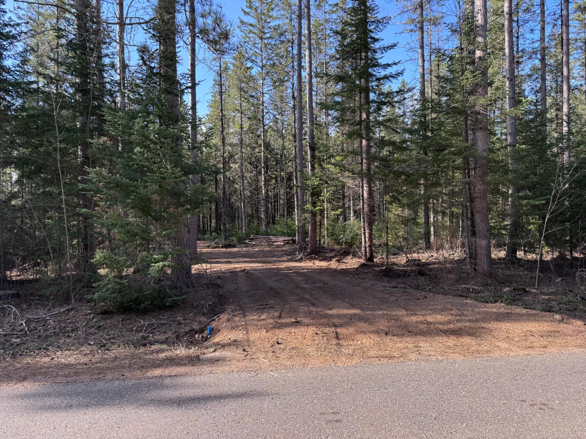 Land in Minocqua 3