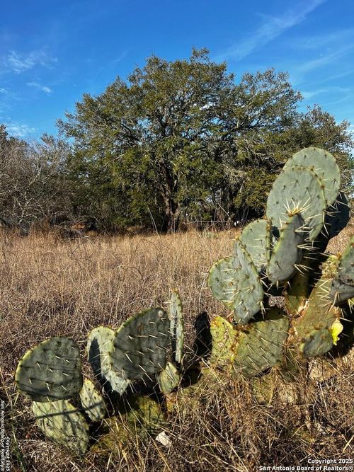 LOT 28 Mariposa Dr, Poteet, TX, 78065-3658 | Card Image