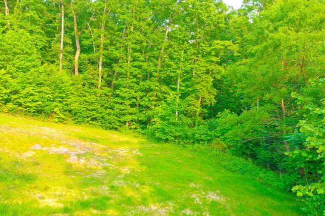 15 April Ln, House other with 5 bedrooms, 2 bathrooms and null parking in Corbin KY | Image 30