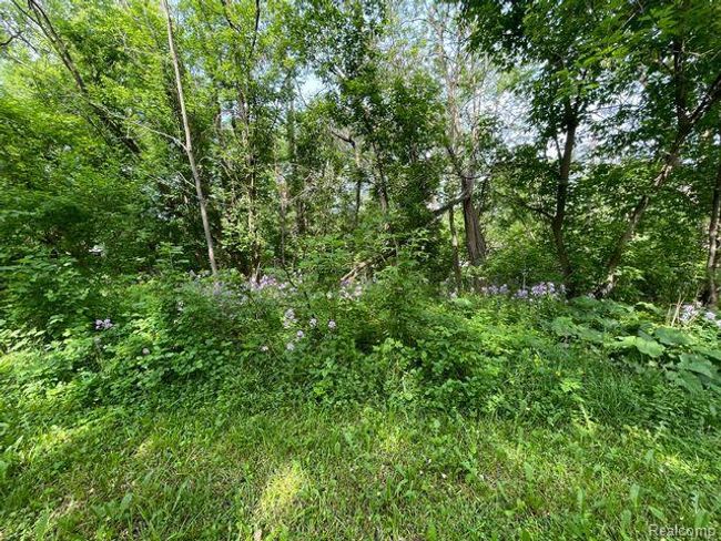 1469 Milmine St, Home with 0 bedrooms, 0 bathrooms and null parking in Addison Twp MI | Image 18