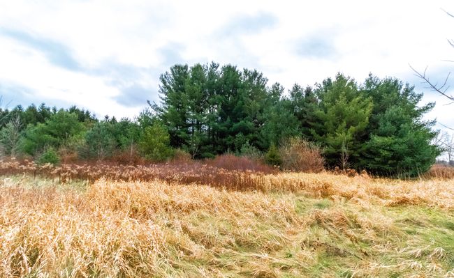 6152 Old State Rd, Home with 0 bedrooms, 1 bathrooms and null parking in North Branch MI | Image 21