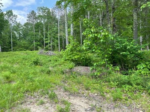 Lot 33 Blake Trail, Tuftonboro, NH, 03816 | Card Image