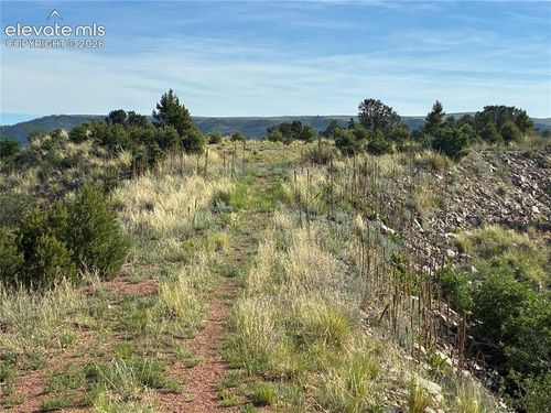 TBD Chris Crossover, Canon City, CO, 81212 | Card Image