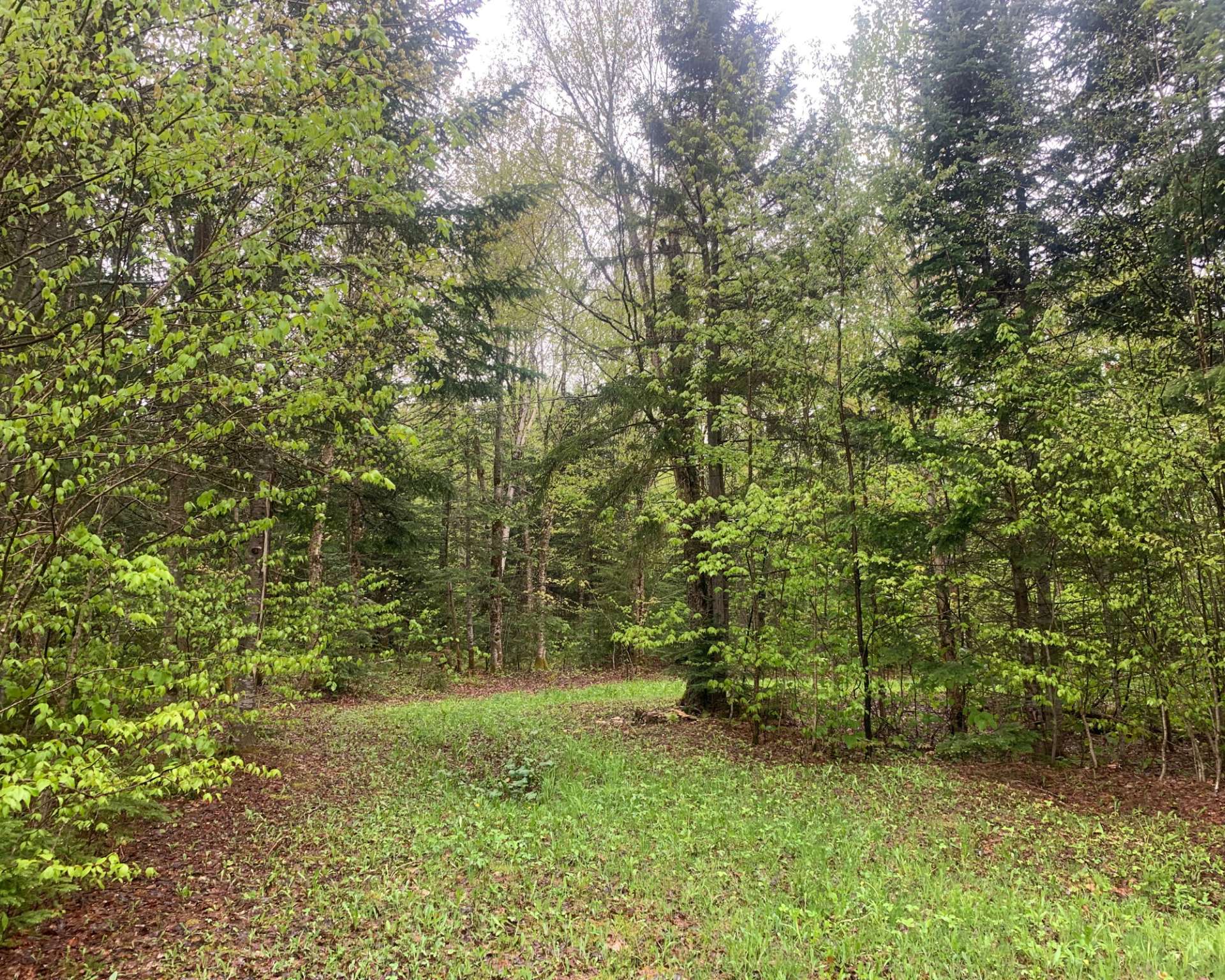 Land in Notre-Dame-des-Bois 4