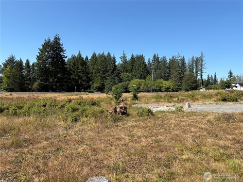 0 LOT 1 Studebaker Rd, Castle Rock, WA, 98611 | Card Image