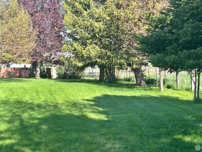View of fenced backyard | Image 42