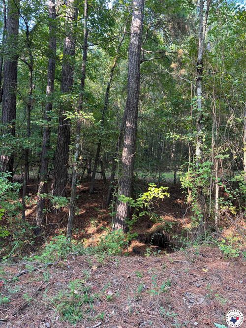 TBD Cr 2514, Naples, TX, 75568 | Card Image