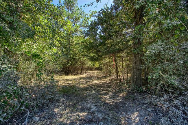 View of landscape | Image 11