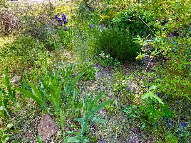 GARDEN | Image 48