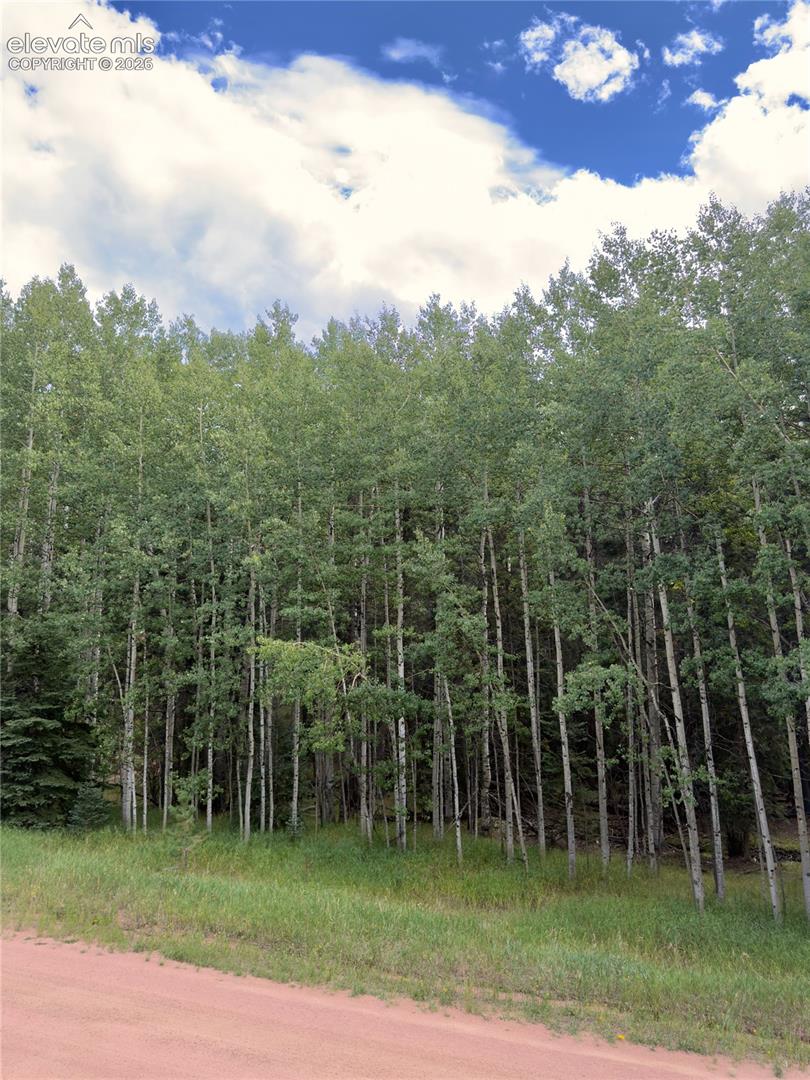 Land in Florissant 3