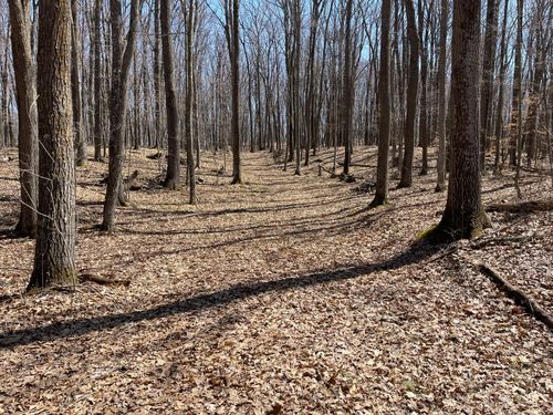 0 Sand Pit Rd, Trego, WI, 54888 | Card Image