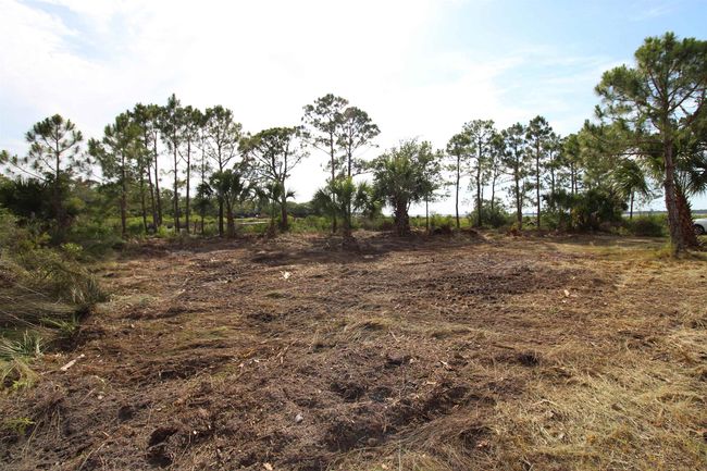 20 George Vause Rd, Home with 0 bedrooms, 0 bathrooms and null parking in Alligator Point FL | Image 5