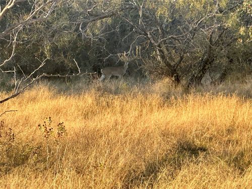 2112 County Road 126, Gordon, TX, 76453-5838 | Card Image