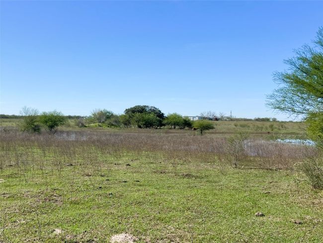 East side of big pond | Image 10