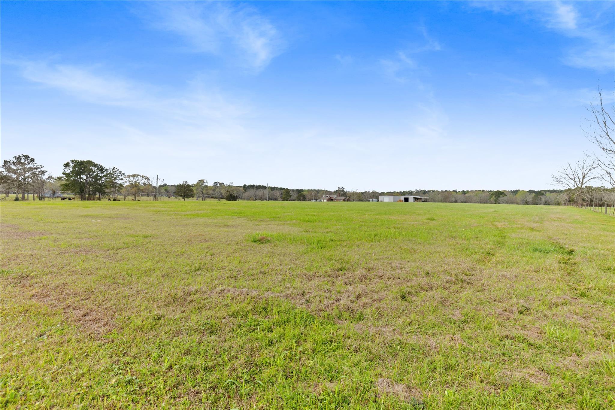 Farm in New Waverly 4
