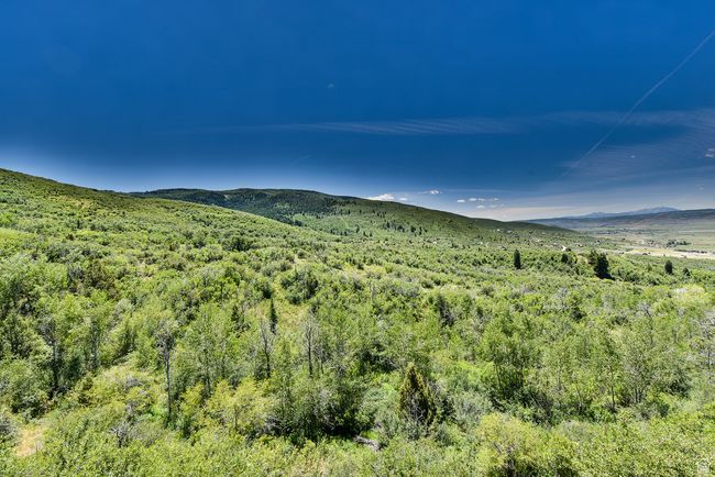 View of mountain feature featuring a forest view | Image 54