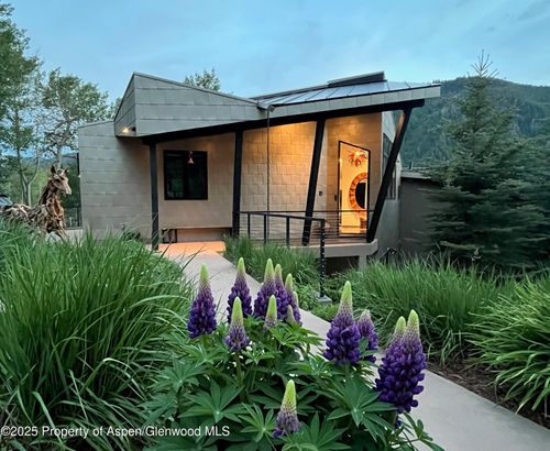 257 Mountain Laurel Dr, Aspen, CO, 81611-2333 | Card Image