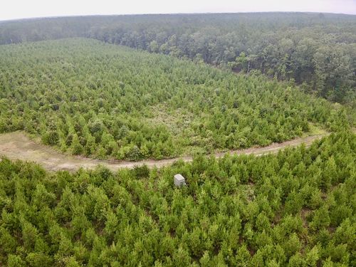 0000 County Road 2124, Clarksville, TX, 75426 | Card Image