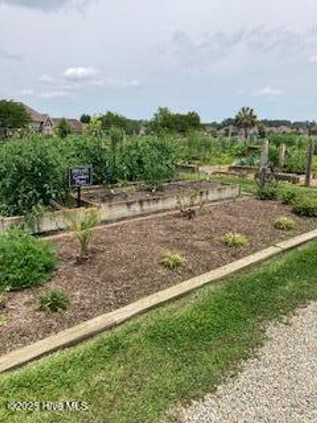 Community garden with individual owner garden plots | Image 4