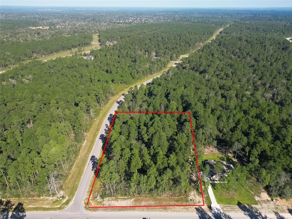Four Hills Rd, Willis, TX 77378