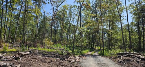 Lot 8.1 County Route 25, Narrowsburg, NY, 12764 | Card Image