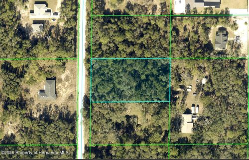 0 Alloy St, WEBSTER, FL, 33597 | Card Image