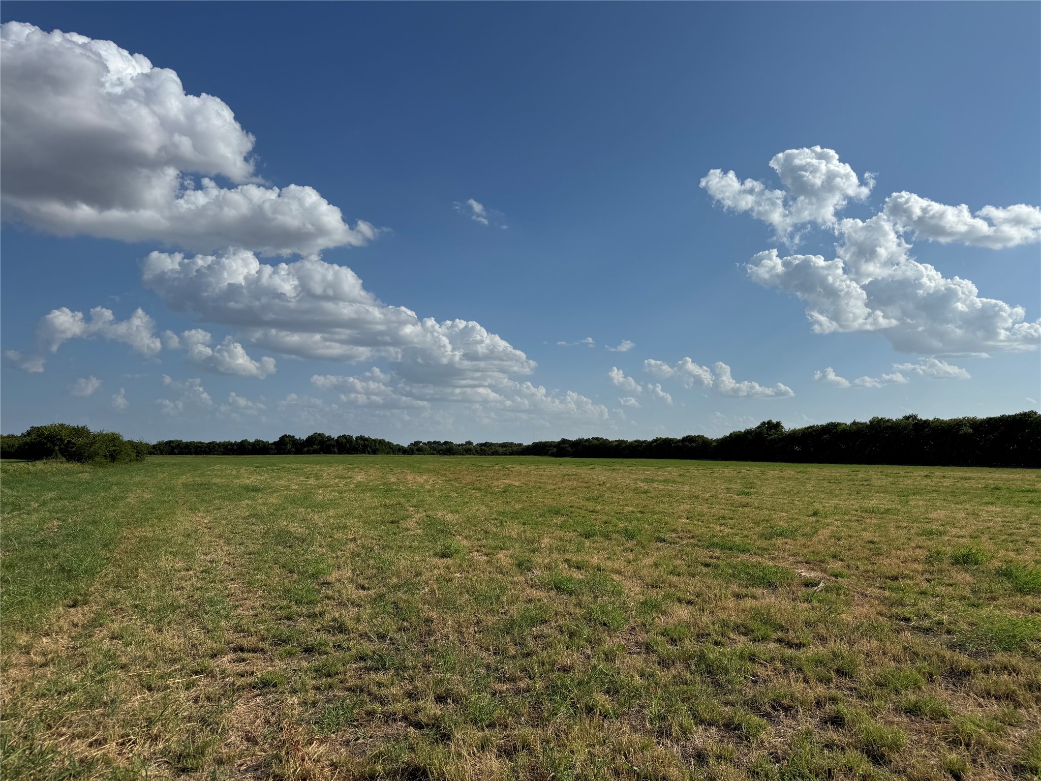 Land in Leonard