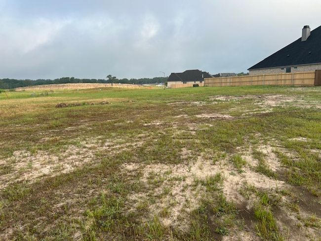 View of lot | Image 6