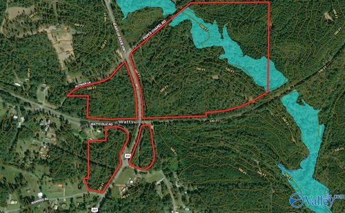 161 Acres Highway 231, Wattsville, AL, 35131 | Card Image