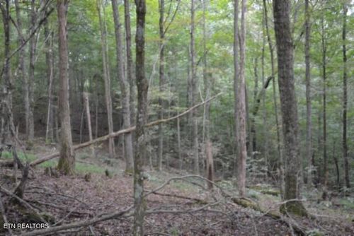 578 West Ln, Gainesboro, TN, 38562 | Card Image